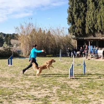 329571656 1273308493536204 1248296676948794898 n