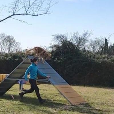 329644386 606103984617950 601147691912103210 n