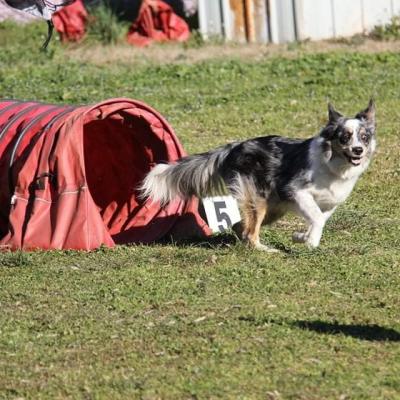 Whatsapp image 2024 08 12 a 15 31 32 c447647a