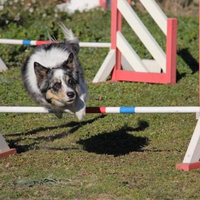 Whatsapp image 2024 08 12 a 15 31 45 2959a1c6