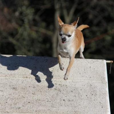 Whatsapp image 2024 08 12 a 15 33 44 cf4110fa