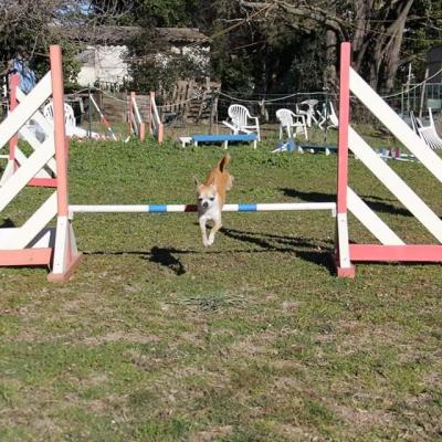 Whatsapp image 2024 08 12 a 15 33 55 6b1ff2e9