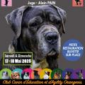 Afficheconcours2025 01