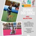 Dog dance mai 2025