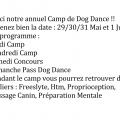 Voici notre annuel camp de dog dance page 1