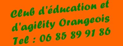 CLUB CANIN D'EDUCATION ET D'AGILITY                                                            ORANGEOIS